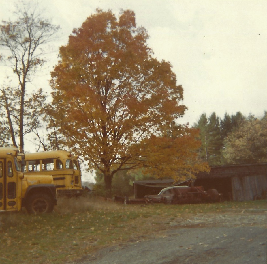 Two old buses in a 1970s picture.