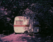 Vintage camper in woods.